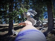 Santa Fe National Forest