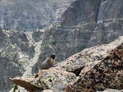 Rocky Mountain National Park