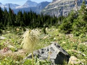 Glacier National Park