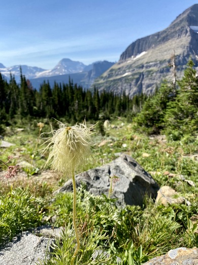 Glacier National Park