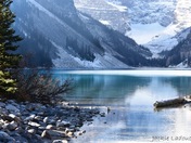 Stillness Speaks