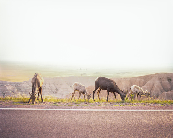 Badlands National Park 
