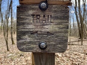 George Washington and Jefferson National Forests