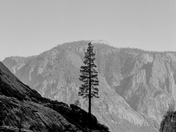 Yosemite National Park