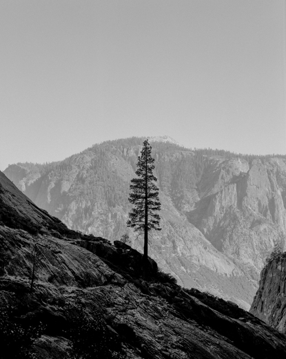 Yosemite National Park