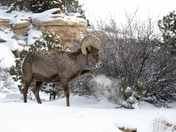 Colorado National Monument