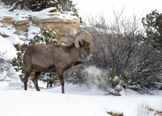 Colorado National Monument