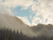 Mount Rainier National Park 