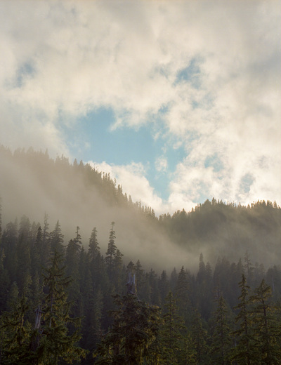 Mount Rainier National Park 