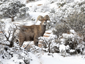 Colorado National Monument