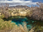 Ash Meadows National Wildlife Refuge