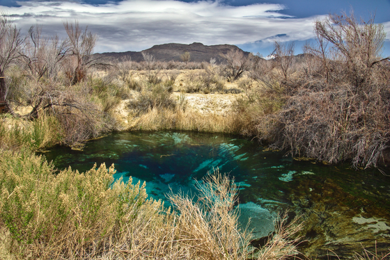 Ash Meadows National Wildlife Refuge