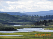 Yellowstone National Park