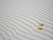 White Sands National Park