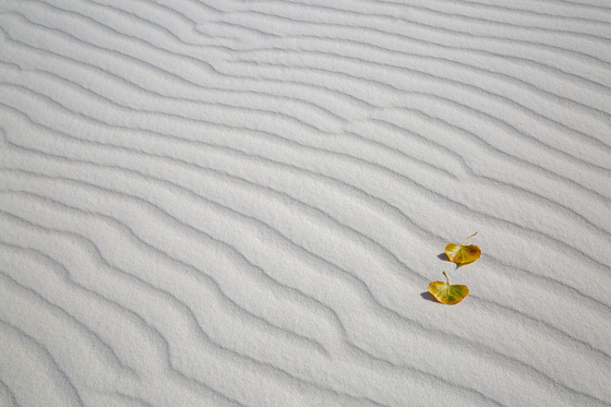 White Sands National Park