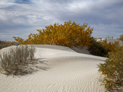 White Sands National Park
