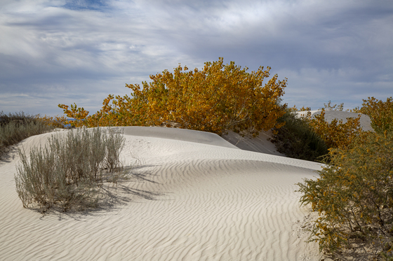 White Sands National Park