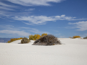 White Sands National Park
