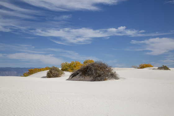 White Sands National Park