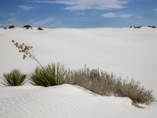 White Sands National Park