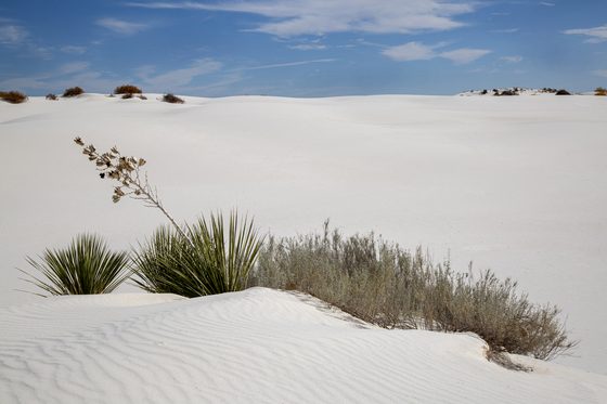 White Sands National Park