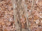 Badin Lake Recreation Area