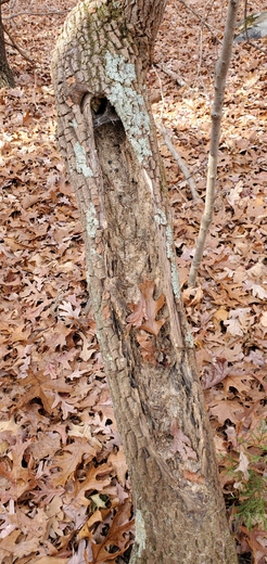 Badin Lake Recreation Area
