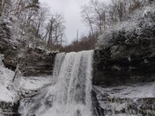 Jefferson National forest