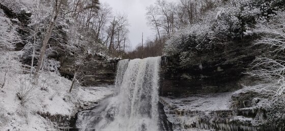 Jefferson National forest
