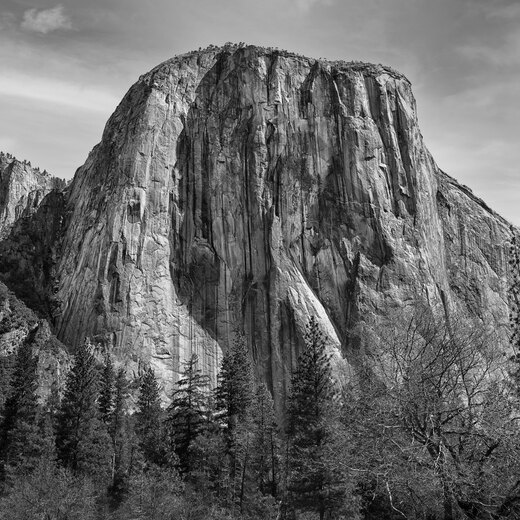 Yosemite National Park