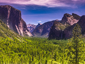 YOSEMITE NATIONAL PARK