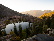 Uintah-Wasatch-Cache National Forest