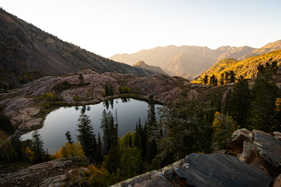 Uintah-Wasatch-Cache National Forest