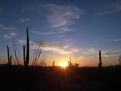 Saguaro National Park West
