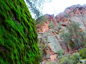 Pinnacles National Park