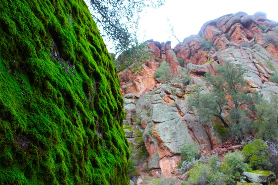 Pinnacles National Park