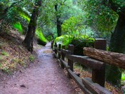 Pinnacles National Park