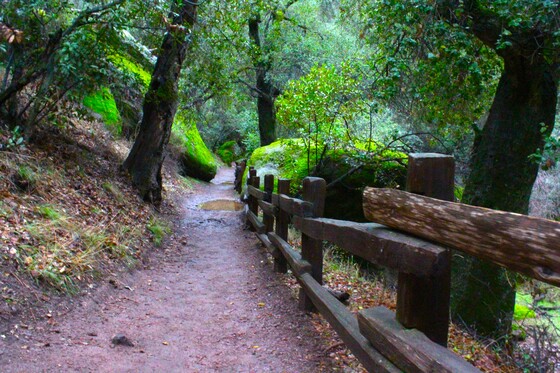 Pinnacles National Park