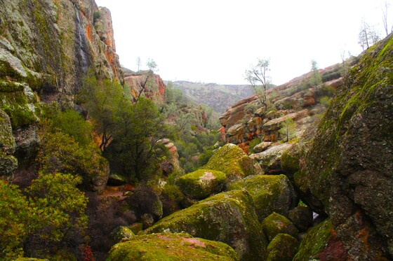 Pinnacles National Park
