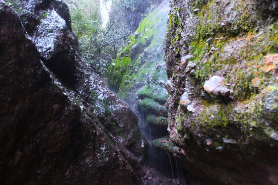 Pinnacles National Park