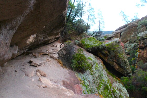 Pinnacles National Park