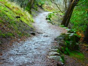 Pinnacles National Park