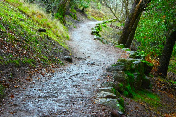 Pinnacles National Park