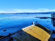 Monterey Bay National Marine Sanctuary