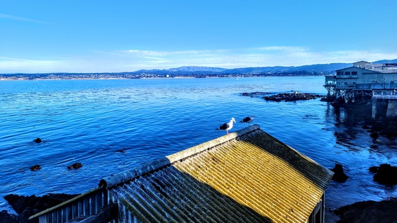 Monterey Bay National Marine Sanctuary