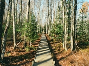 Acadia National Park