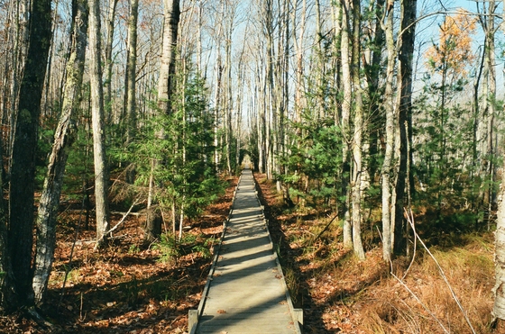 Acadia National Park