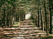 Acadia National Park
