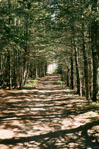 Acadia National Park