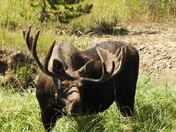 Rocky Mountain National Park